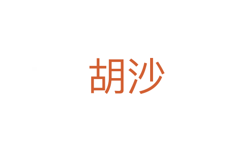 胡沙