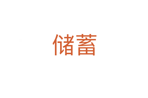 储蓄