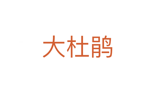 大杜鹃