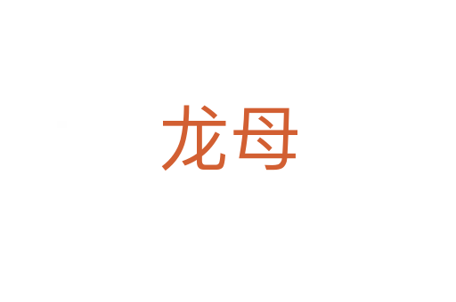 龙母
