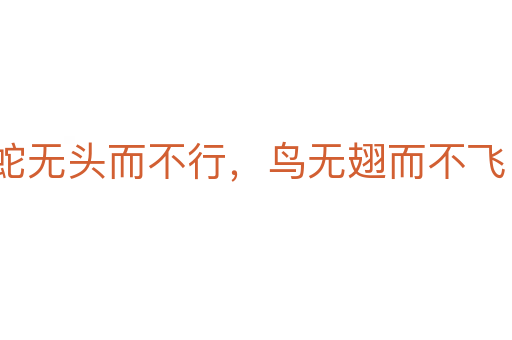 蛇无头而不行，鸟无翅而不飞