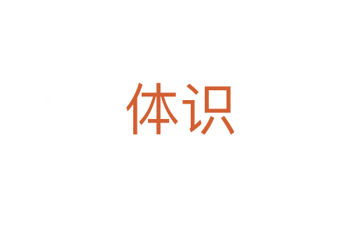体识