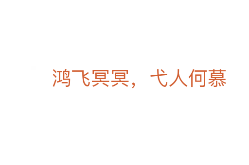 鸿飞冥冥,弋人何慕